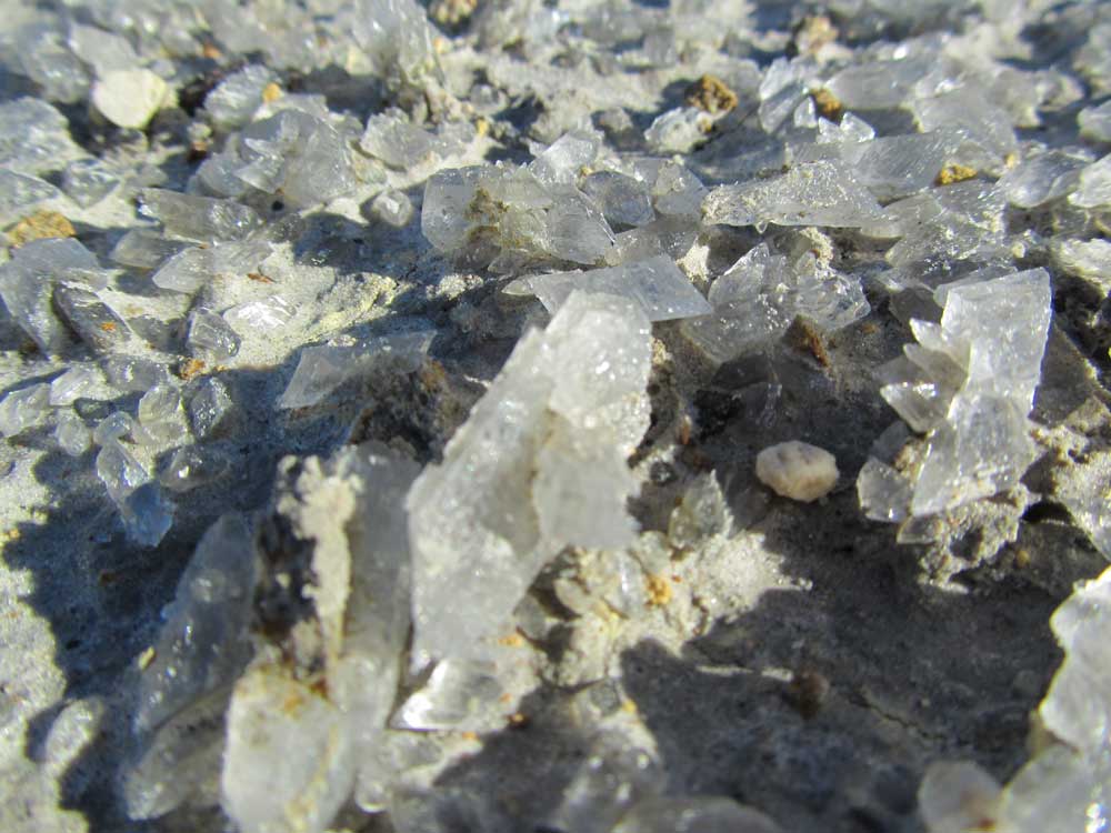 Cristalli di gesso ? Tor Caldara, Anzio (Lazio)